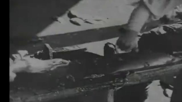 1908 год- Рыбообработка в Астрахань смотреть онлайн