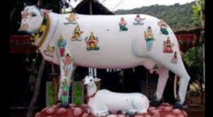 КОРОВА - САМОЕ ЦЕНТРАЛЬНОЕ ЖИВОЕ СУЩЕСТВО ВО ВСЕЙ ВСЕЛЕННОЙ. Леонид Тугутов (Лакшми Нараяна Дас).