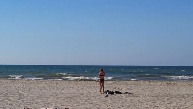 Chanson Sea. Van Gogh Sunflowers Sarong. Zonnebloemen Zomer Zee смотреть онлайн