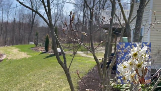 April Garden Tour смотреть онлайн