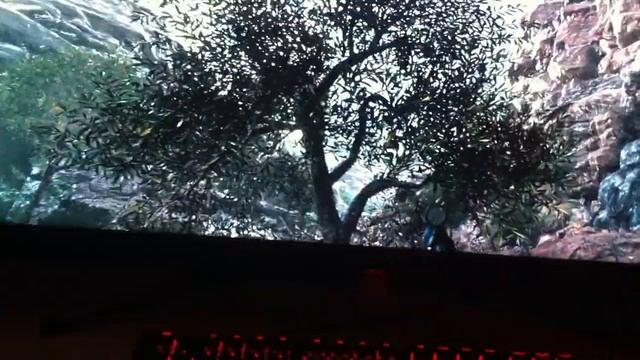 ASUS ROG PG43UQ Black Smearing Tree Leaves when i move my Mouse Left and Right. смотреть онлайн