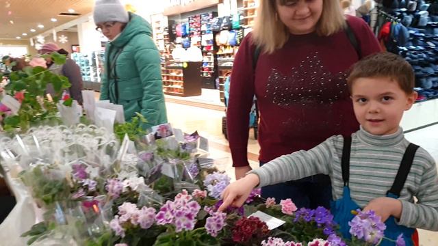 Сезонная выставка комнатных цветов смотреть онлайн