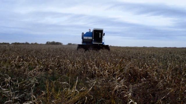 жатка псп-1.5 на уборке сорго. смотреть онлайн