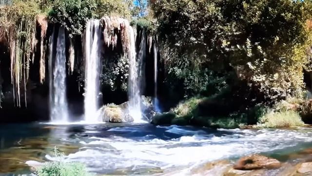 "Весенний голос любви" - стихи о любви и природе из книги "Просветление". смотреть онлайн