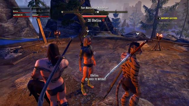 Elder Scrolls Online Funny Moments - Naked Fist Fights, Useless Werewolf & Skyrim Shuffle! смотреть онлайн