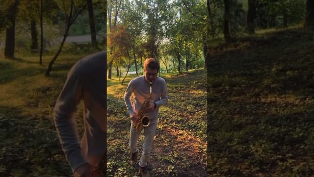 Самая самая - Нурмухаммед Жакып - на саксофоне cover - by Dorin Costrov смотреть онлайн