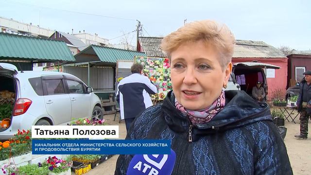 В Бурятии стартовала ярмарка «Наш сад – огород - 2022» смотреть онлайн