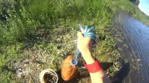 Рыбалка на Кастинговую сеть! Вот почему рыбалка это спорт! Только Кастинговая сеть рыболовный спорт