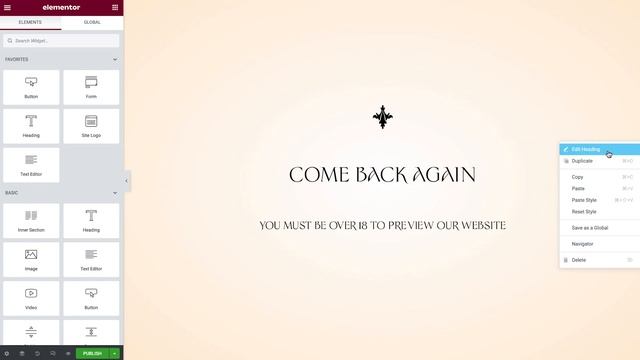 How to Create an Age Gate Popup [Advanced PRO] смотреть онлайн