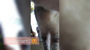 Реставрируем старое коричневое зеркало в современное белое зеркало в стиле лофт ?за 10 минут!