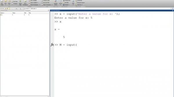 MATLAB Input Tutorial