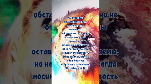 Но не отчаиваемся; #христианство #библия #цитатысосмыслом #мудрыеслова #иисусхристос #вера смотреть онлайн