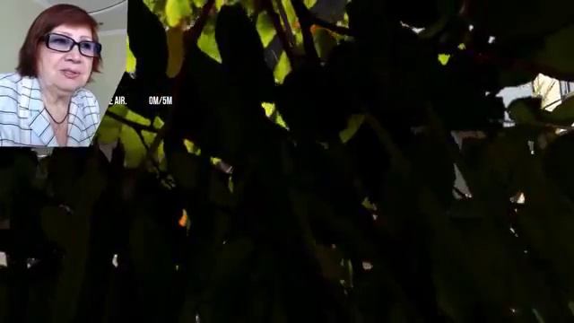 ТУПА |УГАР|∆£ БАБКА ИГРАЕТ В СИУМУЛЯТОР КОЗЛА УГАР смотреть онлайн