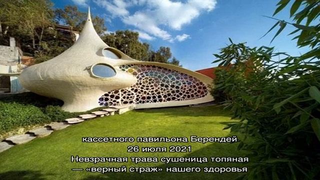 Необычные проекты домов привлекают внимание смотреть онлайн