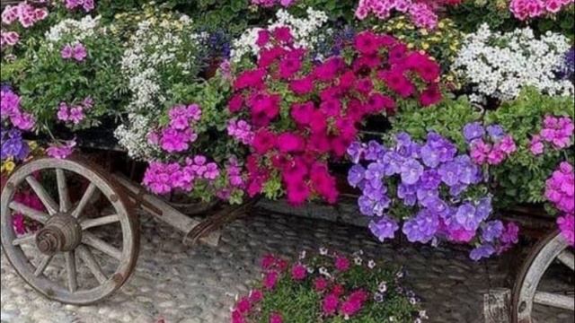 Украшаем двор и сад оригинальными поделками: 41 идея для души смотреть онлайн