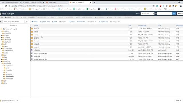 How to Reset WordPress Password using Function file WP Knol смотреть онлайн