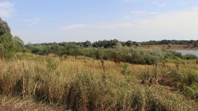 Искусство и Мастерство