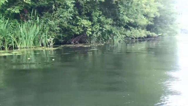 Купаюсь под дождём