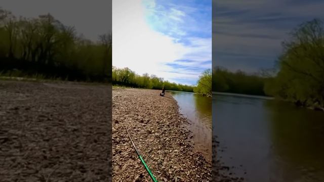 Сима на крючке смотреть онлайн