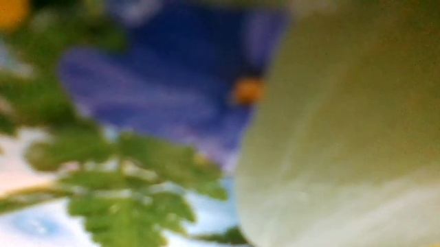 Пой-пой, этот танец твой мой. С грешных губ любви зной ты мне подари(наброски) смотреть онлайн