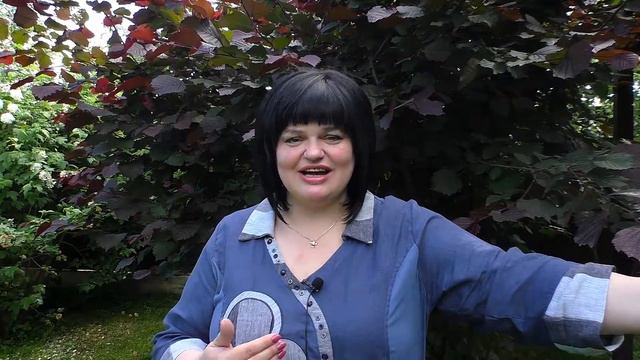 (Короткие уроки успешной жизни) Урок №5. Как стать сильным экспертом смотреть онлайн