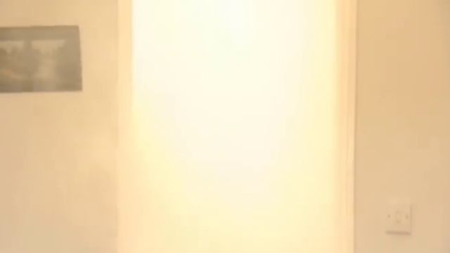 Scott Miller Pet Priory And The Aggressive Rabbit