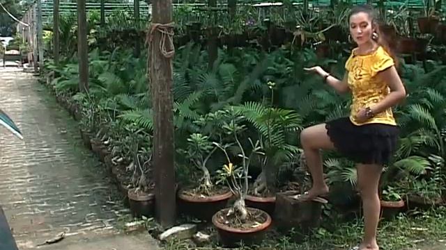 Documentary Films | Ornamental Plants Part I | English Documentary Films смотреть онлайн