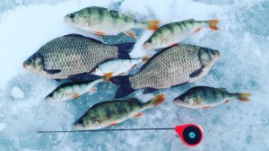 Карась зимой Безкивковая удочка с катушкой ловля на безмотылку чертик