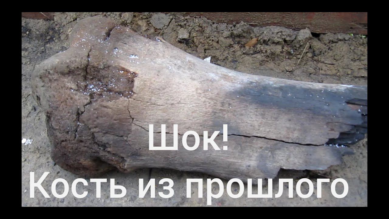 КОСТЬ МАМОНТА РАЗМЕРОМ С СОБАКУ! СИБИРЬ. смотреть онлайн