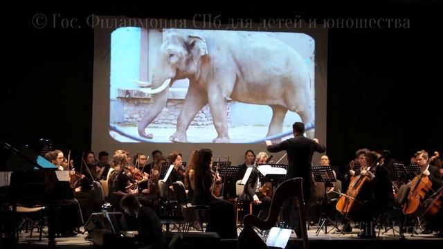 Музыкальный зоопарк 2019 04 21 от Юли смотреть онлайн