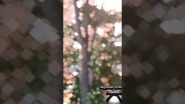 Чёрный пояс