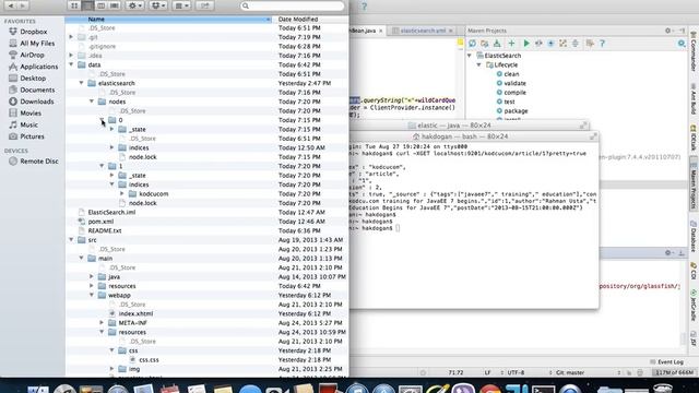 Java Web Applications(JSF 2.2) and ElasticSearch смотреть онлайн