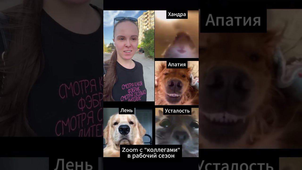 Доброго времени суток #видео #анимация #видеоролик #заказатьролик #анимация смотреть онлайн