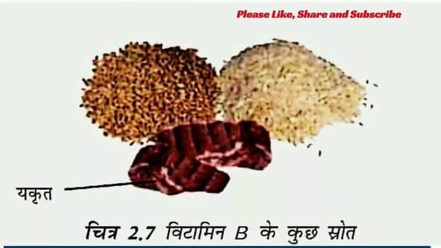SCIENCE CLASS 6 CHAPTER 2 COMPONENTS OF FOOD | RBSE | CBSE | NCERT | ONLINE STUDY MATERIAL (iiLearn смотреть онлайн