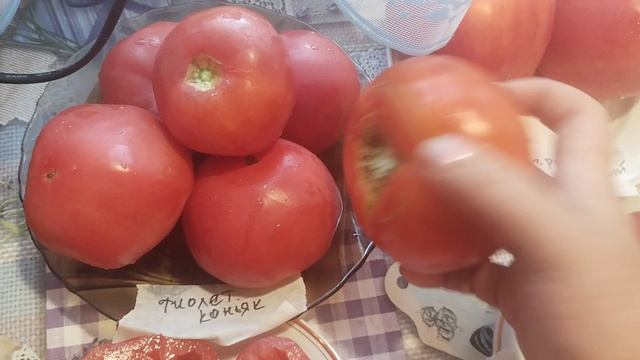 Подмосковье.Обзор крупноплодных томатов