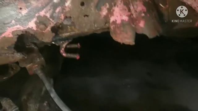 Вкусная пища для ума и души