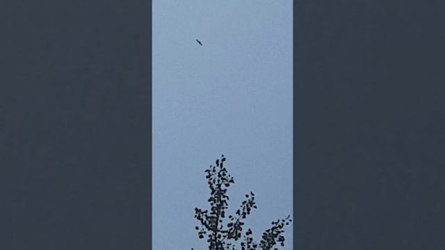 Елец !!! смотреть онлайн