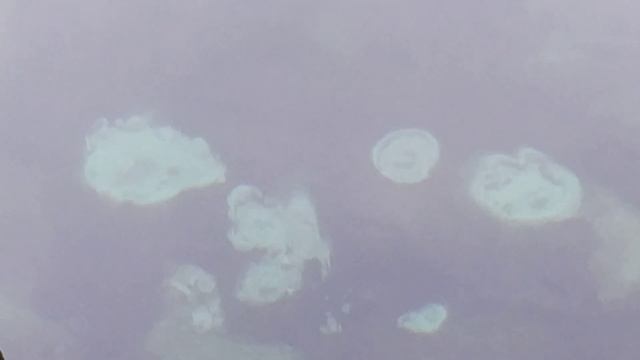 Плывун в источнике Батюшки Серафима