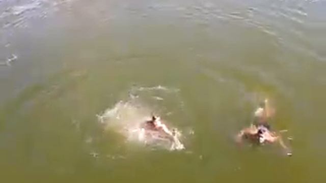 прыжок в воду смотреть онлайн