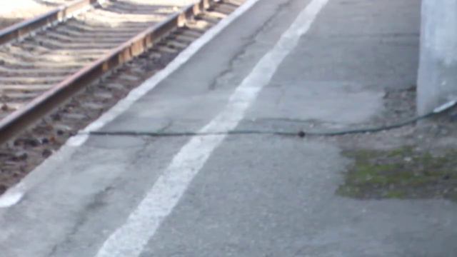 ВЛ80с-172 с грузовым смотреть онлайн