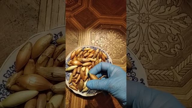 Лук- севок / Подготовка лука севка к посадке / Профилактика от болезней лука смотреть онлайн