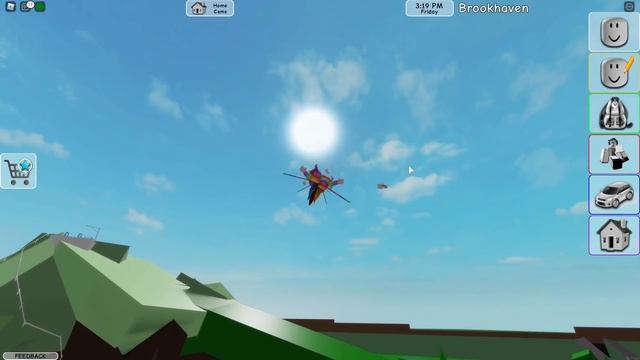I Tried The NEW FLYING HACK In Brookhaven With SANNA! (Roblox)