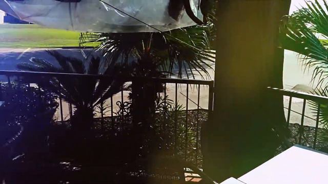 Luna's Mexican Restaurant | Friendswood Location смотреть онлайн