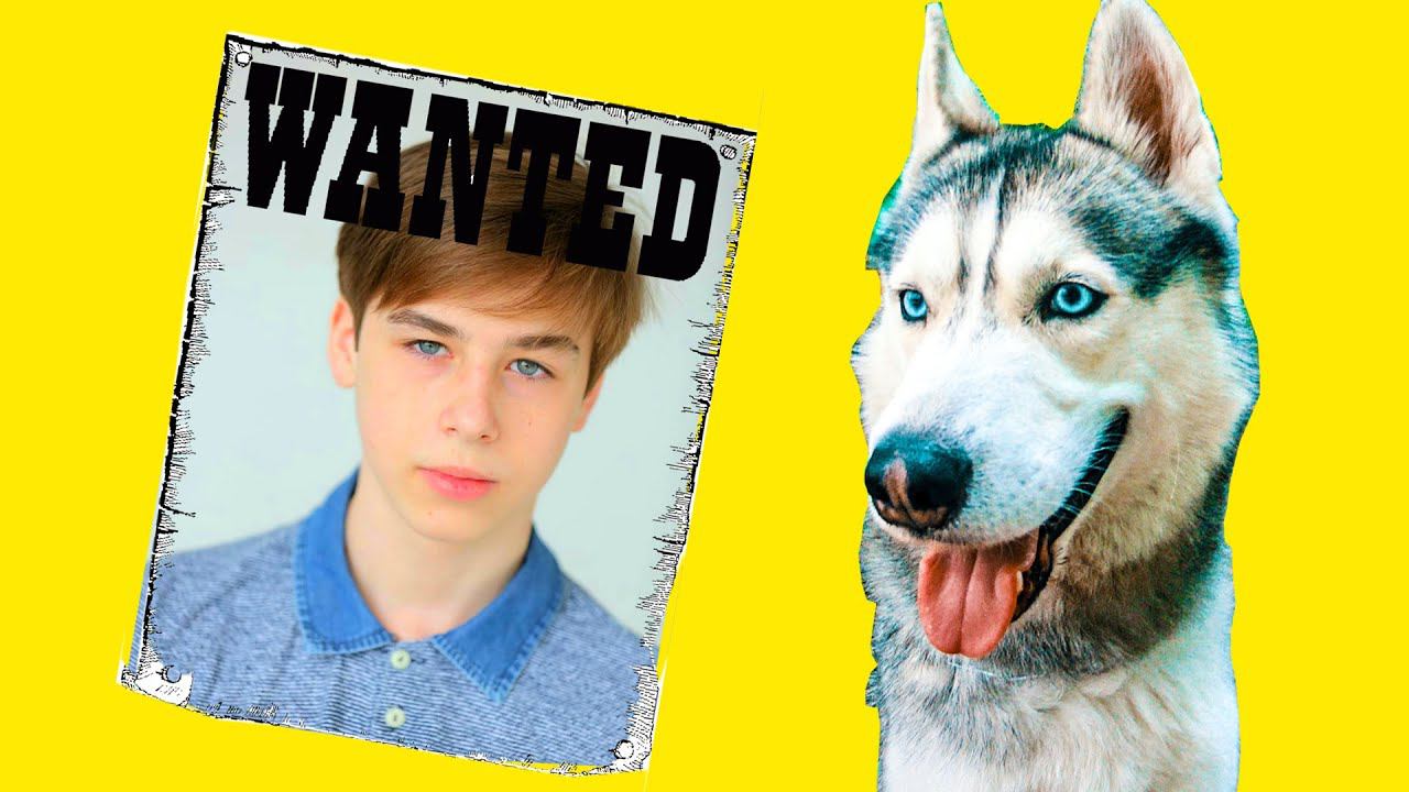 МЛАДШИЙ ЧЕЛОВЕК ПРОПАЛ!! (Хаски Бандит) Говорящая собака смотреть онлайн
