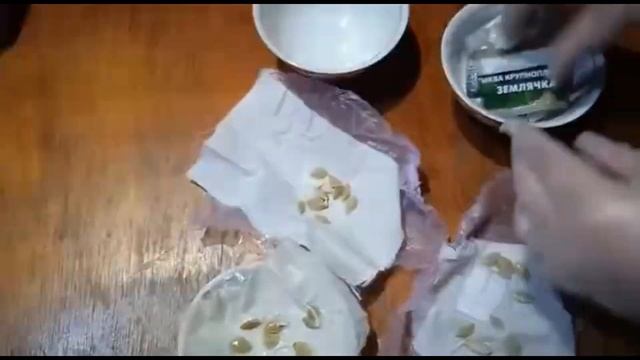 Кабачки проросли за два дня!!! смотреть онлайн