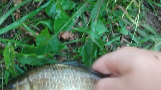 14 августа 2023 г. смотреть онлайн