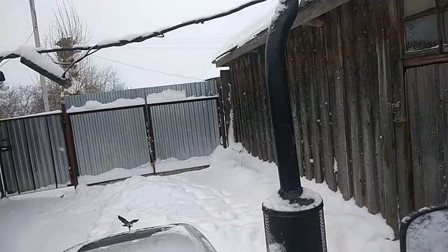 Запуск в -12 СКАУТ (Т-254)разгребаю снег задним отвалом ?? смотреть онлайн