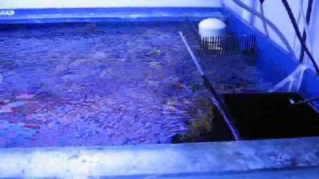 DIY Wavebox на Resun Waver 15000 смотреть онлайн