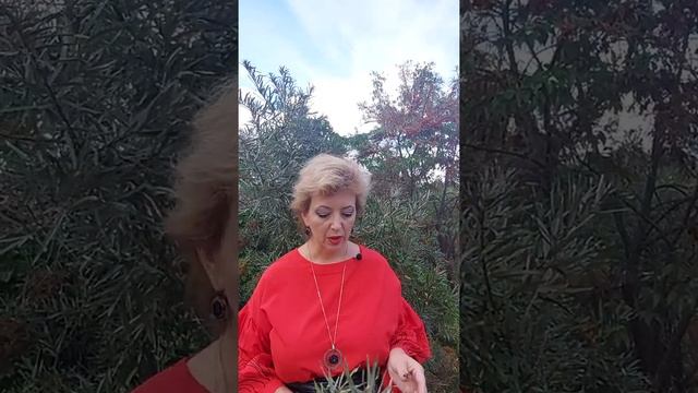 Завещание переписать! смотреть онлайн