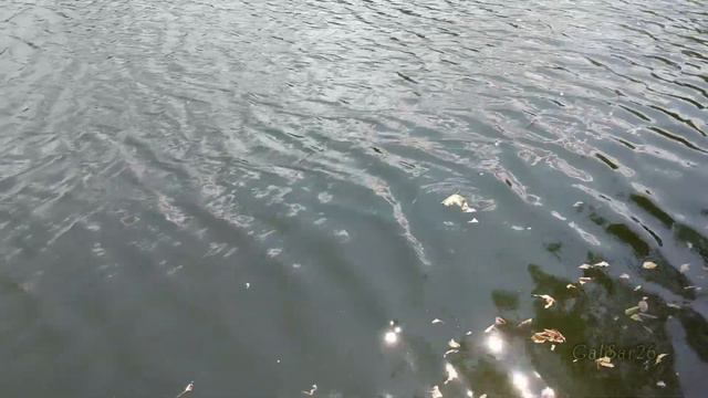 Mozart Sonata №16 C major k 542 смотреть онлайн